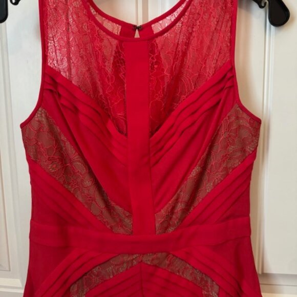 BCBGMAXAZRIA Sleeveless Chevron Pleated Lace - Picture 3 of 4